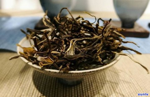 易武国有林普洱茶价格及特点全解析，熟悉古树茶价与种类