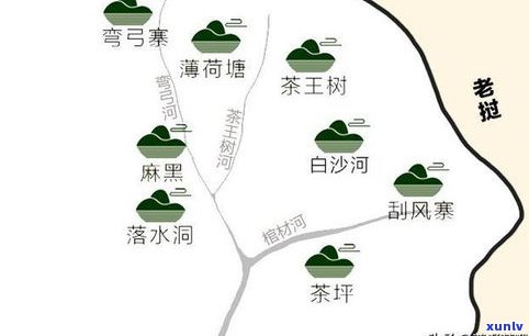 易武国有林：口感特点、地理位置与古树茶特性全解析