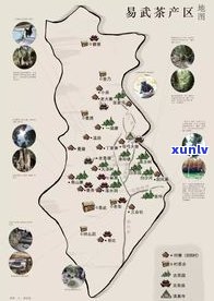 易武国有林：口感特点、地理位置与古树茶特性全解析