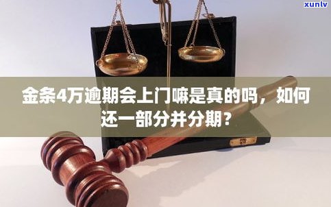 金条逾期后是否可以分期及如何还款？还能再次借款吗？