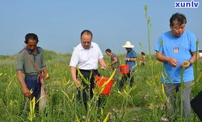 晋商银行咋样？正规合法吗？最新动态是什么？