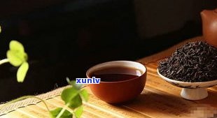 普洱茶膏有多少种类型？了解其特点与分类