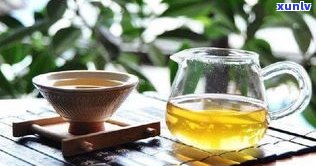 每天一杯普洱茶：好处、坏处及健康影响