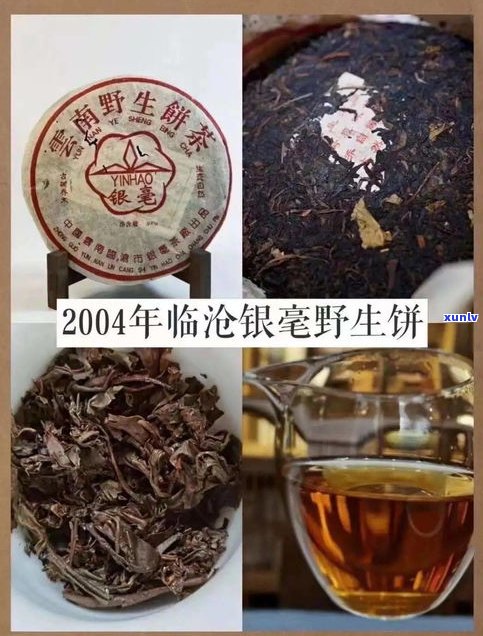 普洱茶饼买多大的合适？尺寸、重量、口感全解析！