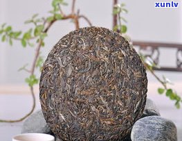 普洱茶饼中间撬不动？教你解决 *** ！