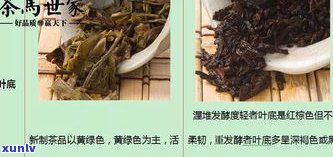 肾虚喝普洱生茶好还是熟茶好？专家解析茶叶对肾脏的影响