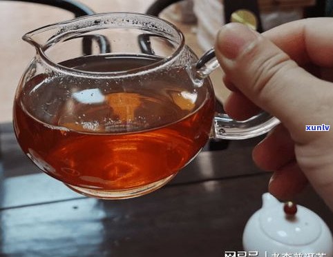 97紫大益普洱茶-96紫大益普洱茶