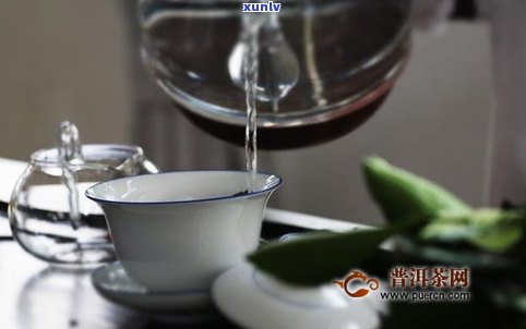 普洱茶泡后加温水还是冷水？泡法与饮用建议全解析