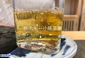 普洱茶：究竟用沸水还是温水冲泡？