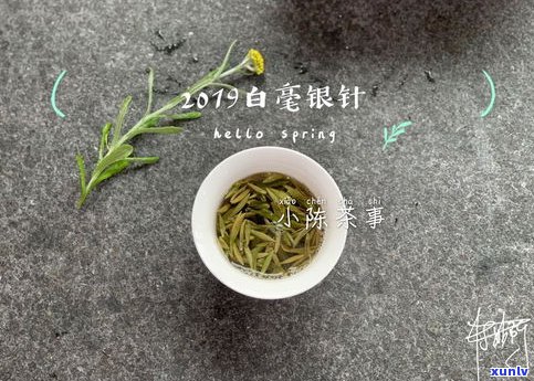 普洱茶：究竟用沸水还是温水冲泡？