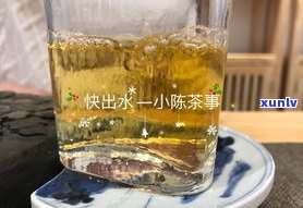 普洱茶泡后加温水-普洱茶泡后加温水可以喝吗