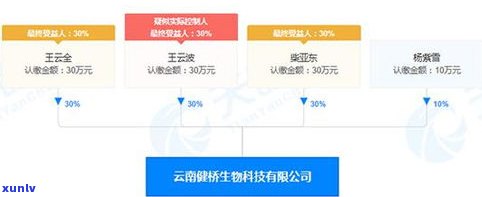 云南善朋科技有限公司：公司概况、  信息及联系方法全攻略