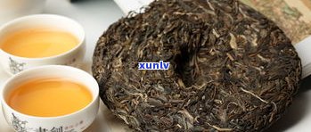 小景谷普洱茶特点-小景谷普洱茶特点介绍