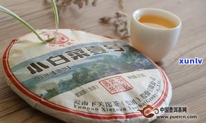 什么号的普洱茶好一点？请给出详细回答！