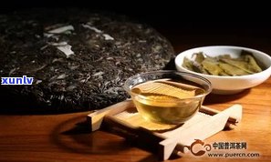 杨聘号普洱茶进货-杨聘号普洱茶8376