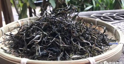 云南老苍山普洱茶-云南苍山普洱茶多少钱一斤