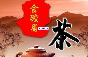 卖普洱茶赚钱吗？探讨其商业潜力与真实性