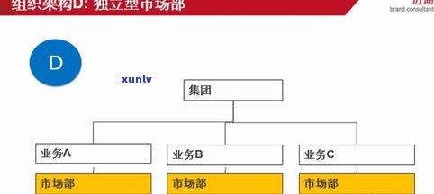 深度解析：普洱茶的品牌定位及其策略分析