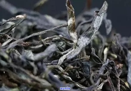 铜箐河普洱茶好吗-铜箐河普洱茶好吗值得买吗