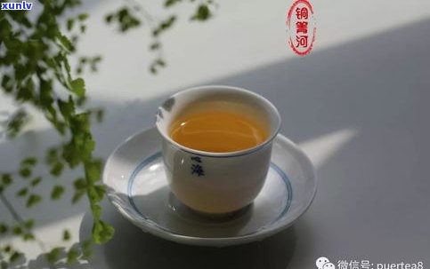 秘境森林普洱茶价格及茶会系列隐藏款对比