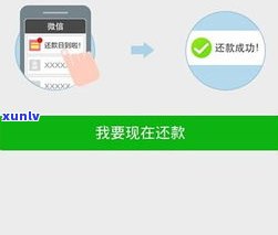 可以跟借呗协商延期吗？怎样申请延期还款并与借呗协商解决？