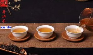 普洱熟茶厂家：排名、直销价目、联系方式一网打尽！