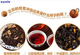 普洱茶的品种类别及含义解析