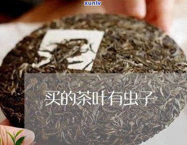 2023年普洱茶茶饼价格趋势：最新报价、宝兰生普洱茶价格及查询