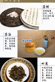 普洱茶手撕饼包装-普洱茶手撕饼包装图片