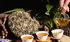 生态普洱茶是什么意思？详解普洱生态茶的概念与特点