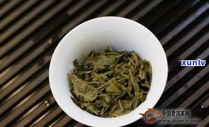 普洱茶的大白菜：含义解析与背景介绍