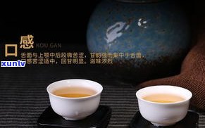 普洱茶无味之味乃是至味：探讨普洱茶的真正韵味与价值