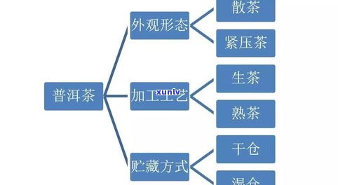 普洱茶的杀青工艺流程视频详解与教程