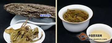 普洱茶口感发涩：原因、是否正常？