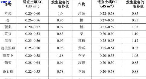 普洱茶湿度对存储的影响：适宜湿度范围与过高过低的危害