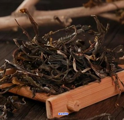 巴达山普洱茶：为何不受欢迎？——口感特点与古树茶特性解析