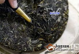 巴达山普洱茶功效-巴达山普洱茶功效与作用