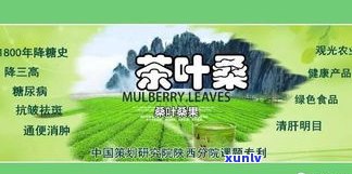 云泰号茶业：专业茶叶公司，生产优质班章茶，备受好评