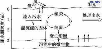 玉石能否净化污水？原理是什么？真的能改善水质吗？会变成水吗？