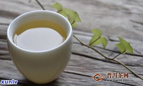 何为生普洱？详解普洱茶中的生茶种类及其特点