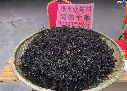 普洱茶毛料图片全集：高清欣赏与含义解析