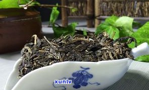 普洱茶有花的好吗？高清图片展示及花种解析