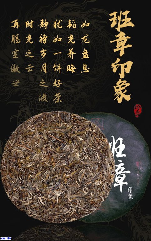 普洱茶茶人陈晓雷：探索传统与现代的融合之路