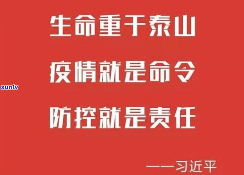 律诚法律服务是真的吗？能否追回本金？关于律诚法律咨询有限公司、律诚企业服务有限公司的评价