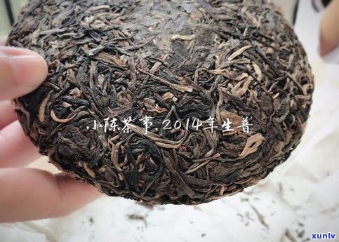 普洱茶与岩茶哪个口感更好？价格对比分析