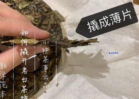 普洱茶包装有黑点还能喝吗？黑色物质处理 *** 全解