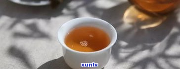 深入熟悉布朗普洱茶的特别特点及口感