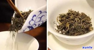 布朗普洱茶：生茶与熟茶的区别、特点及口感评价