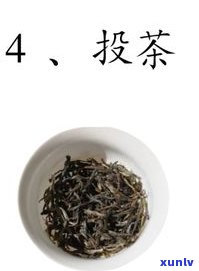 竹子普洱茶叶的更佳冲泡 *** 与技巧