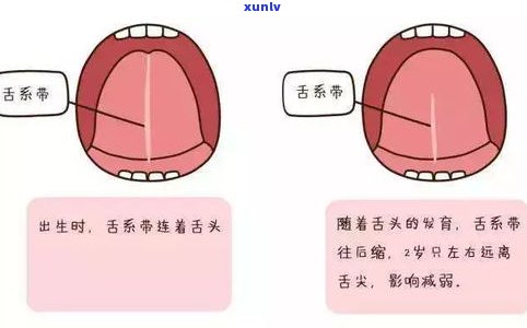 猫舌笔真的好用吗？功能、安全性及使用 *** 全解析